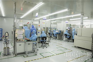 安培龍 潛心研發鑄就小巨人“銅頭鐵臂”